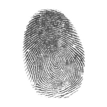 <p><span>Label the following Fingerprint ridge pattern.</span></p>