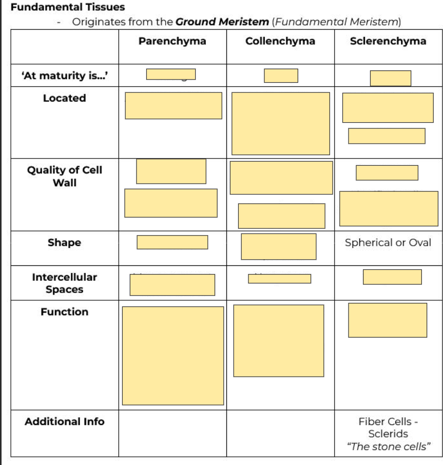 <p>Spherical or Oval</p>