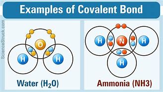 Strong chemical bond due to the sharing of electrons, Bonds between hydrogen and oxygen atoms within a water 
molecule
