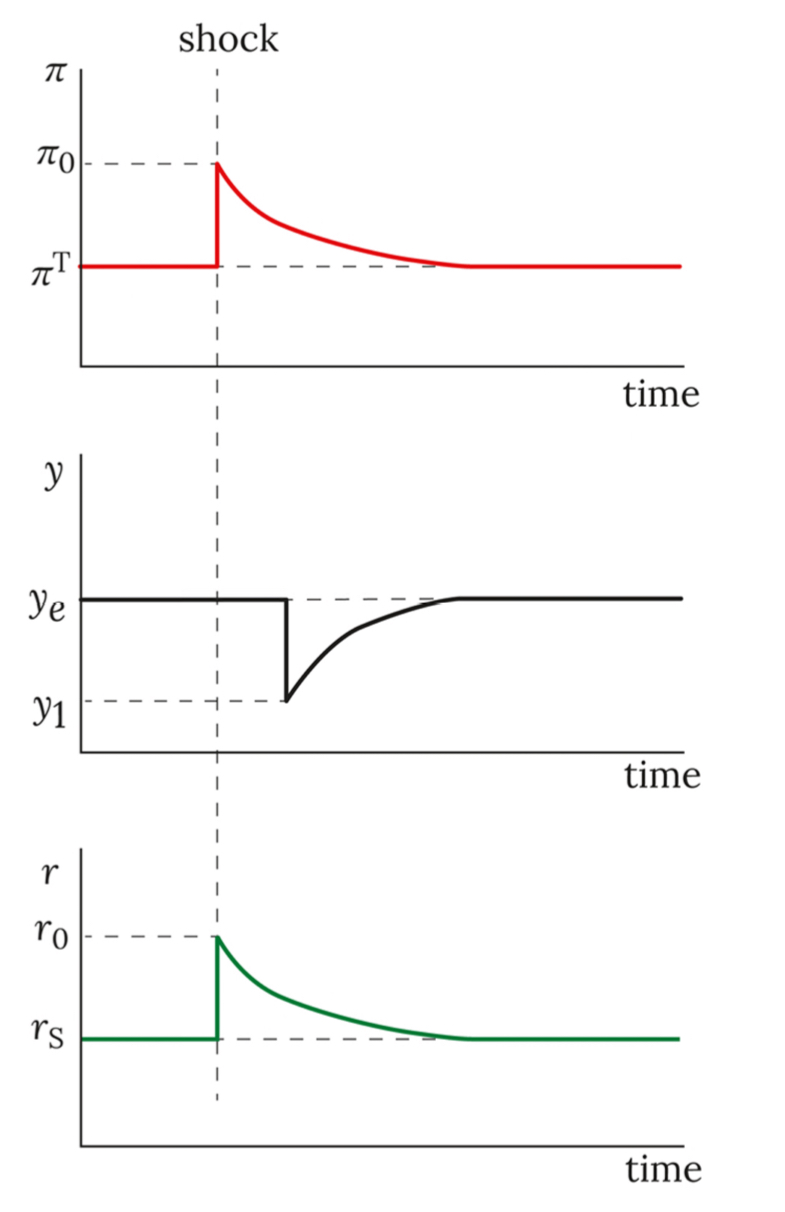 <ul><li><p>On the y-axis is value of the variable and on the x-axis is time, to measure how the variable changes with respect to time </p></li><li><p>Use them whenever using the TEM to show understanding of how the variables change over time </p></li></ul><p></p>