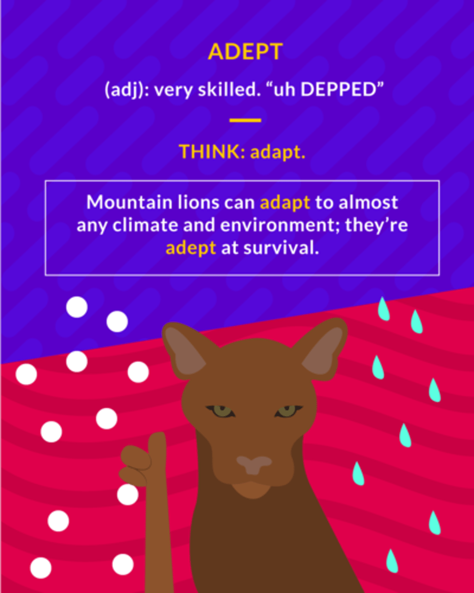 <p>(adj.) Skilled; expert at</p>