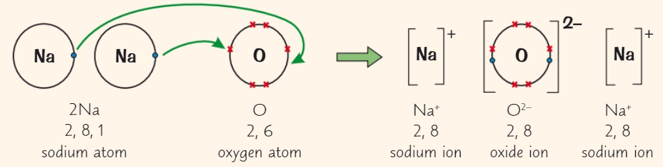 knowt flashcard image