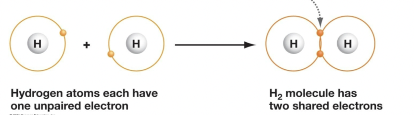 <p><span style="background-color: transparent;"><span>Formed when atoms share pairs of electrons; the sharing of electrons between one element and another</span></span></p>