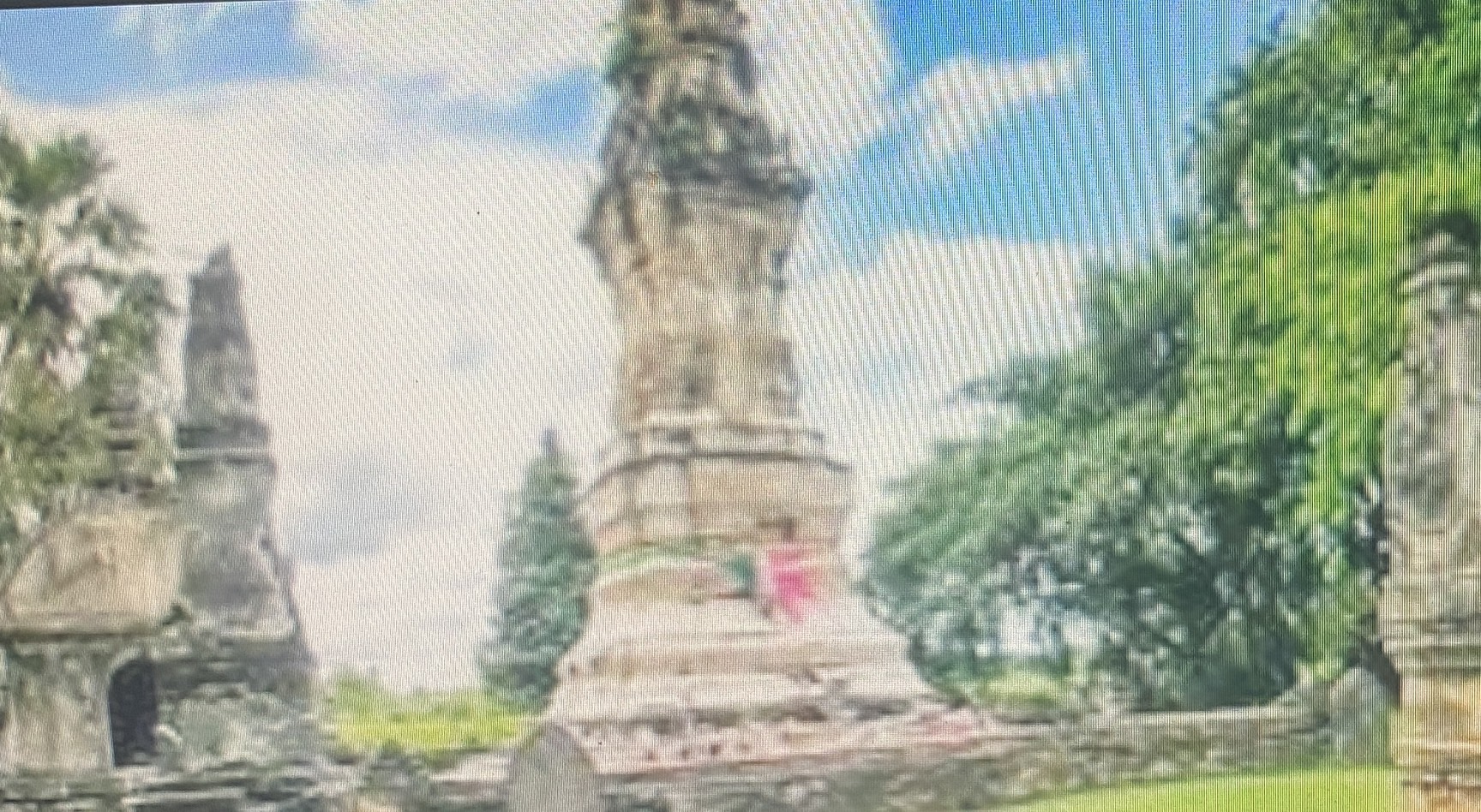 term image