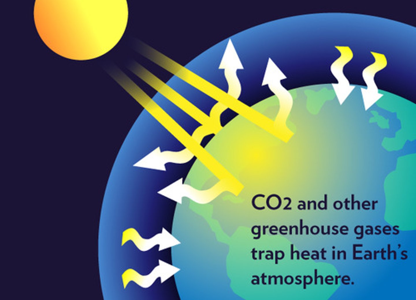 <p>Gases such as carbon dioxide, methane, nitrous oxide, water vapor, and ozone in the atmosphere which trap heat radiating from earth)</p>