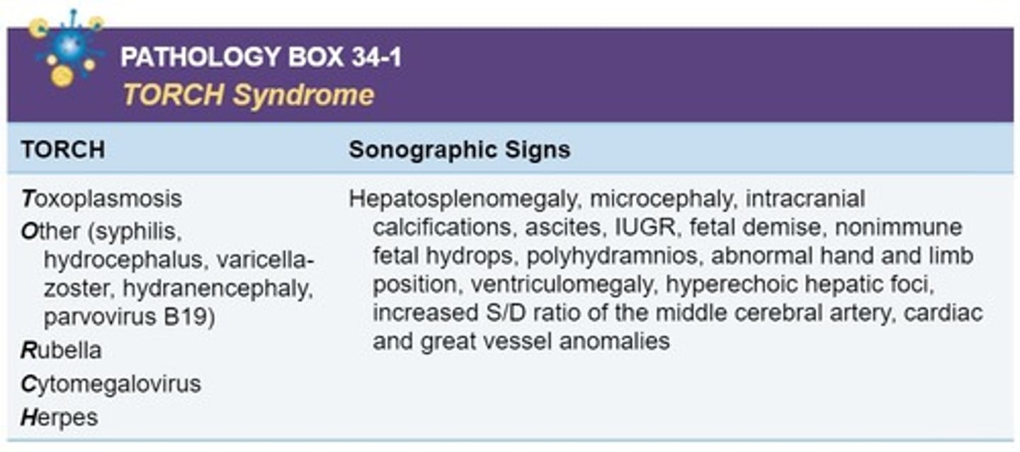 <p>Group of infections</p><p>T - Toxoplasmosis</p><p>O - other (syphylis, COVID-19, chickenpox, parovirus, Zika,)</p><p>R - rubella</p><p>C - cytomegalovirus (CMV): subset of herpes</p><p>H - herpes</p>