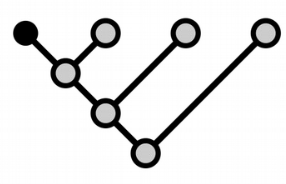 A trait carried exclusively by a given taxon (species or any rank of unit above species), usually result of a specialization change. (Ex: marsupium of marsupials