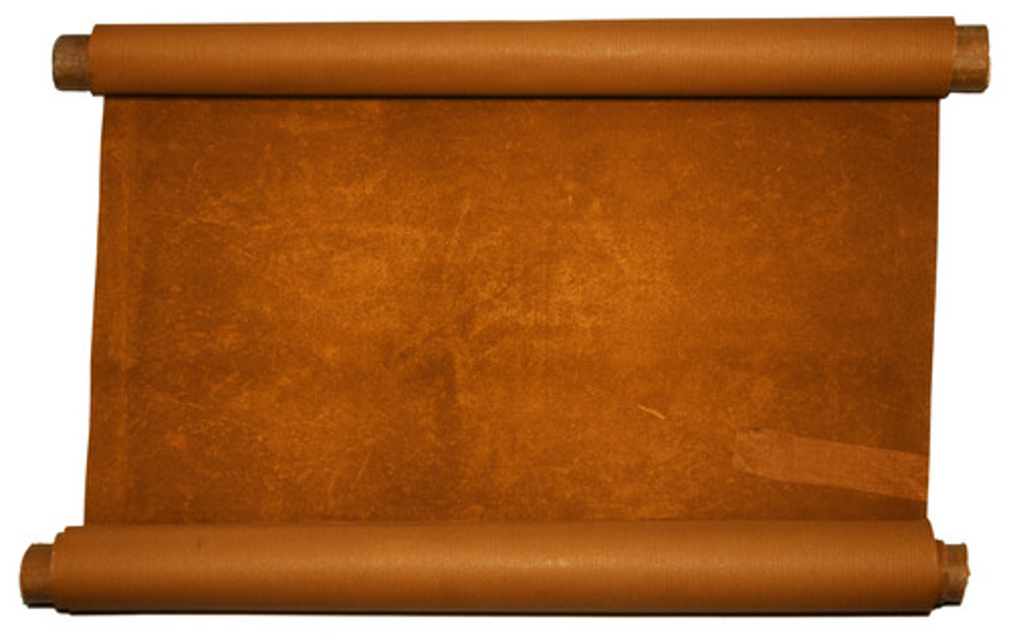 <p>a stiff, flat, thin material made from the prepared skin of an animal and used as a durable writing surface in ancient and medieval times.</p>