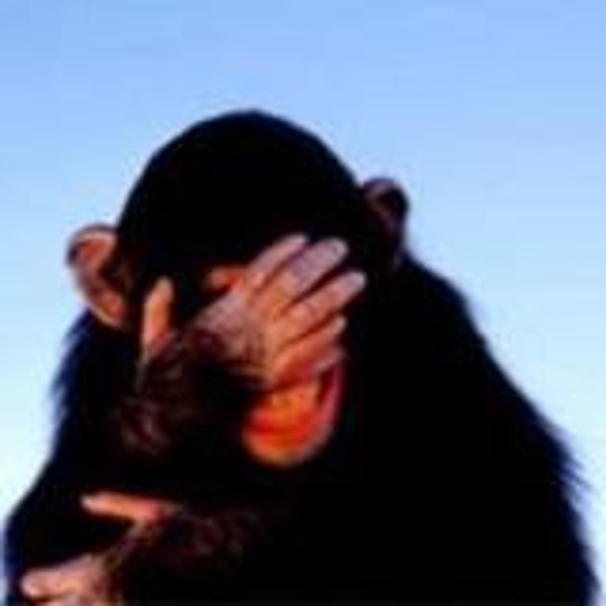<p>uncomfortable, embarrassed</p>