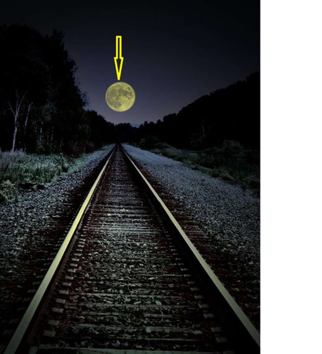 <p>der Hintergrund</p>