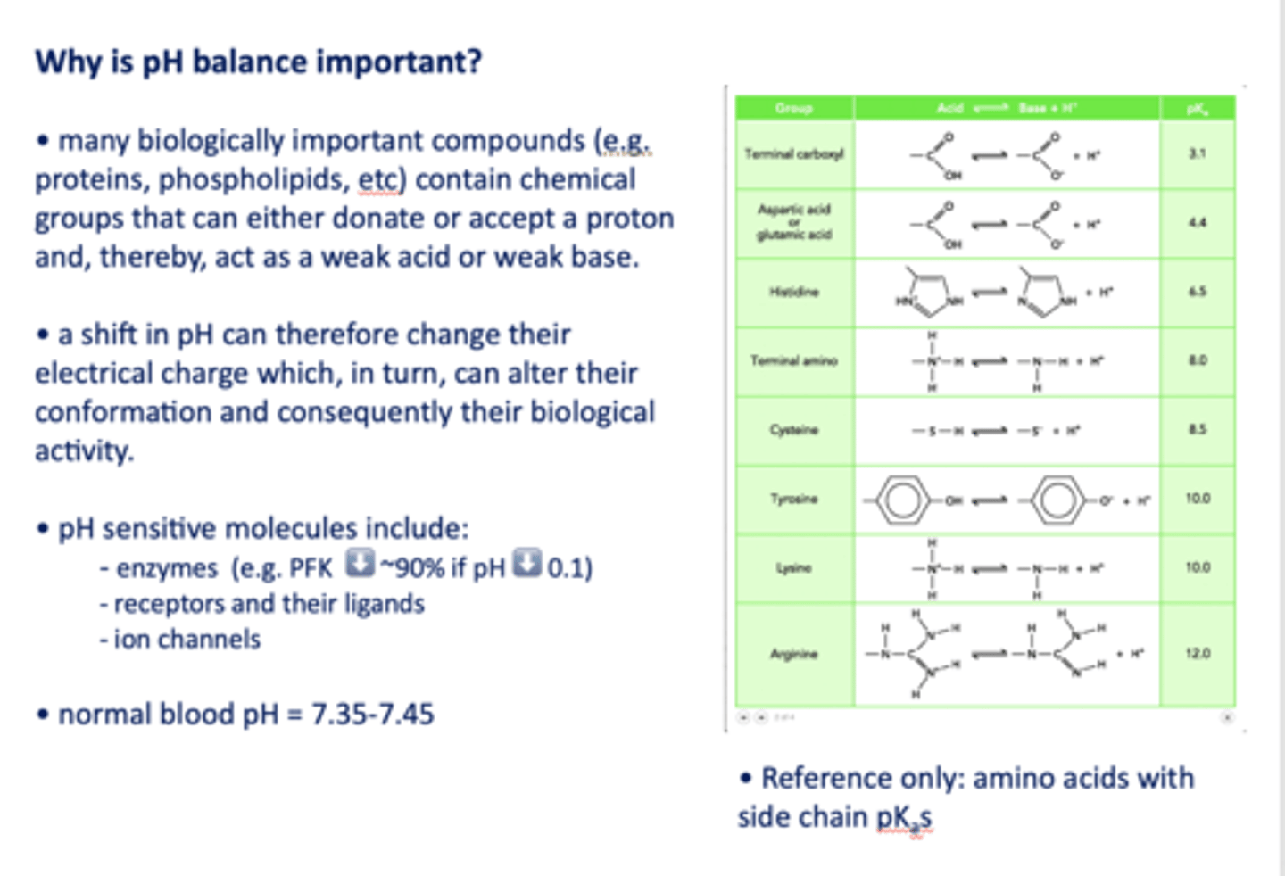 <p>- Enzymes (e.g. PFK ⬇️ ~90% if pH ⬇️ 0.1)</p><p>- Receptors and their ligands</p><p>- Ion channels</p>
