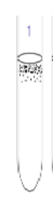 <p>What are obligate aerobic</p>