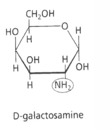 <p>C’est quoi ?</p>