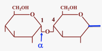 <p>réducteur</p><p>glucose+glucose</p><p><strong><span style="color: blue">maltase = α-D-glucosidase </span></strong></p>