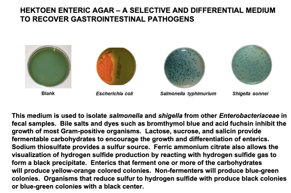 <p>A selective and differential medium to recover gastrointestinal pathogens</p>