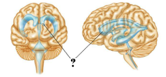 <p><span>Identify the indicated portion of this space.</span></p>