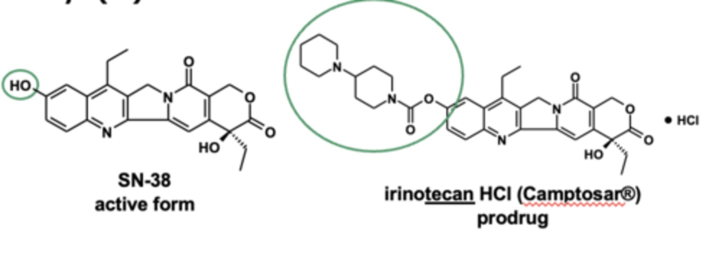 <p><strong>irinotecan prodrug</strong>, increases aqueous solubility </p>