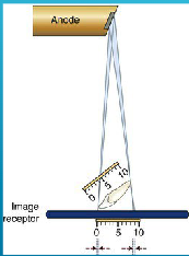 <p>what happens when central ray is perpendicular to the image receptor but the object is not parallel with the image receptor?</p>