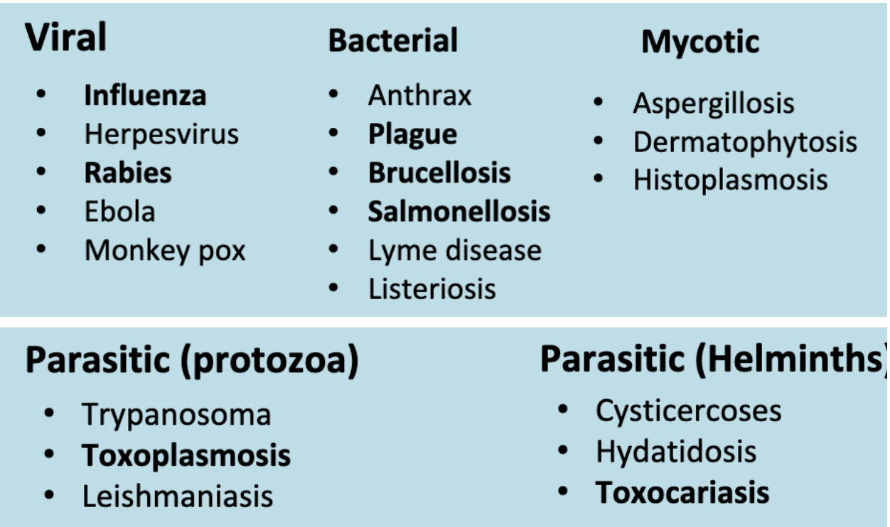 <p>Over than 200 zoonotic diseases were fully identified, most of them are highly infectious, causing severe illness and may lead to death.</p>