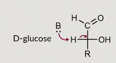 <p>What can this reaction form?</p>