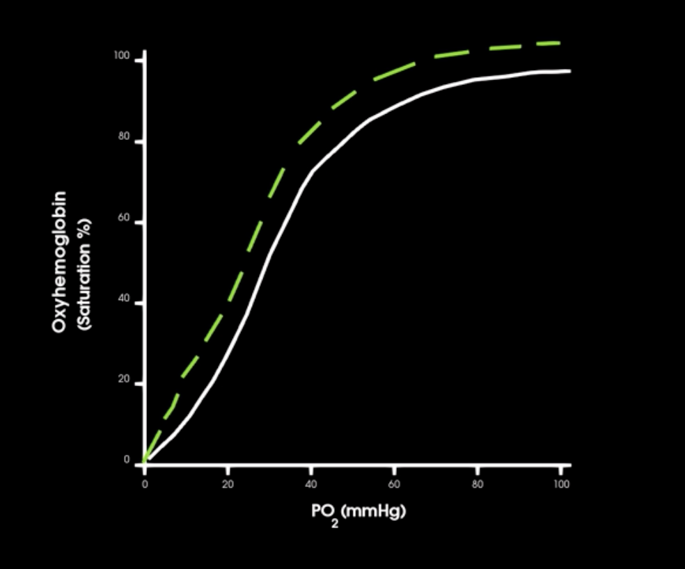 <p>right shift in curve indicates what in hgb affinity</p>