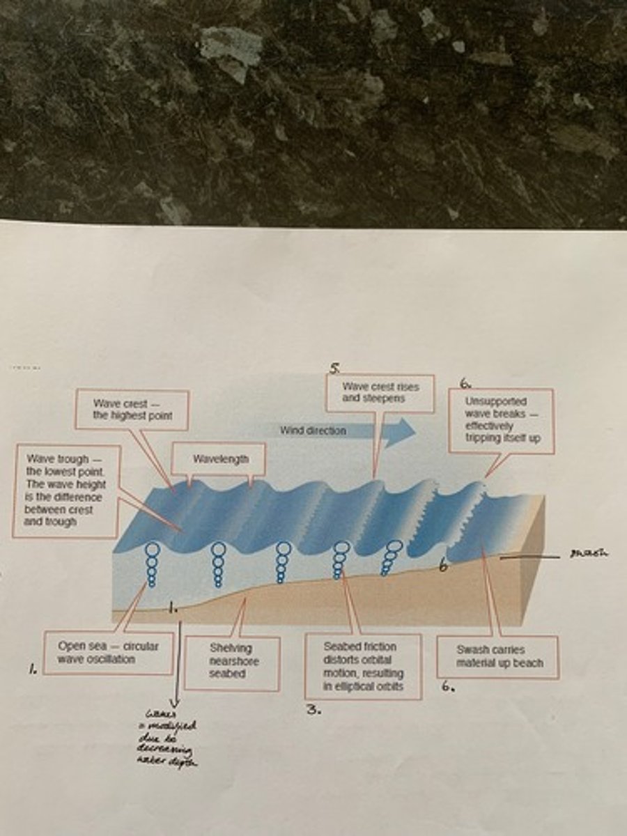 <p>As the water depth shallows towards a coast line:</p><p>- at a depth of half the wave length the internal orbital motion of water in the wave touches the sea bed</p><p>- friction between wave and sea bed slows the wave down</p><p>- approaching the shore wavelength decreases and height increases (bunch together)</p><p>- wave crest moves forward faster than wave trough</p><p>- eventually outruns trough and wave topples forward (breaks)</p>