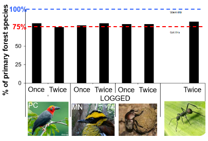 <ul><li><p>logged forests cause a 25% loss in primary forest species but most persist</p></li></ul><p></p>