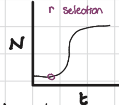 <p><span>R-selected species produce many offspring with minimal parental care to quickly exploit available resources. </span></p>