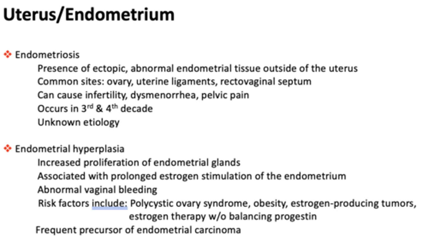 <p>endometriosis</p>