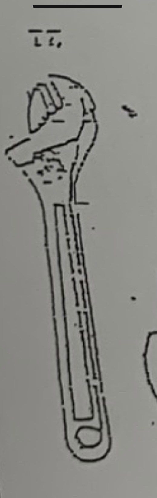 term image