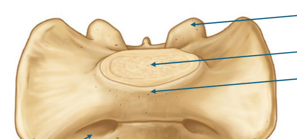 <p>top to bottom </p>