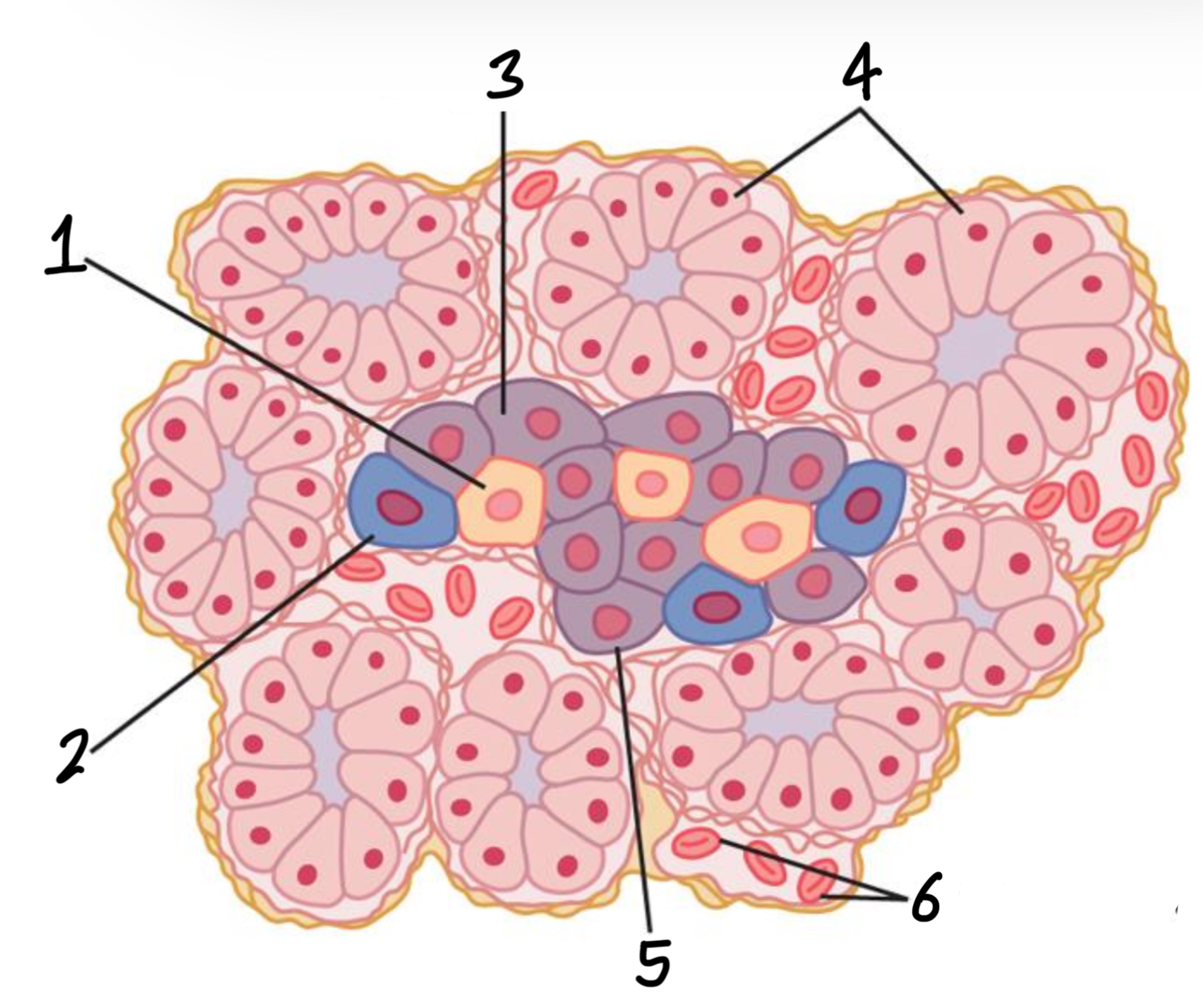<p>3</p>