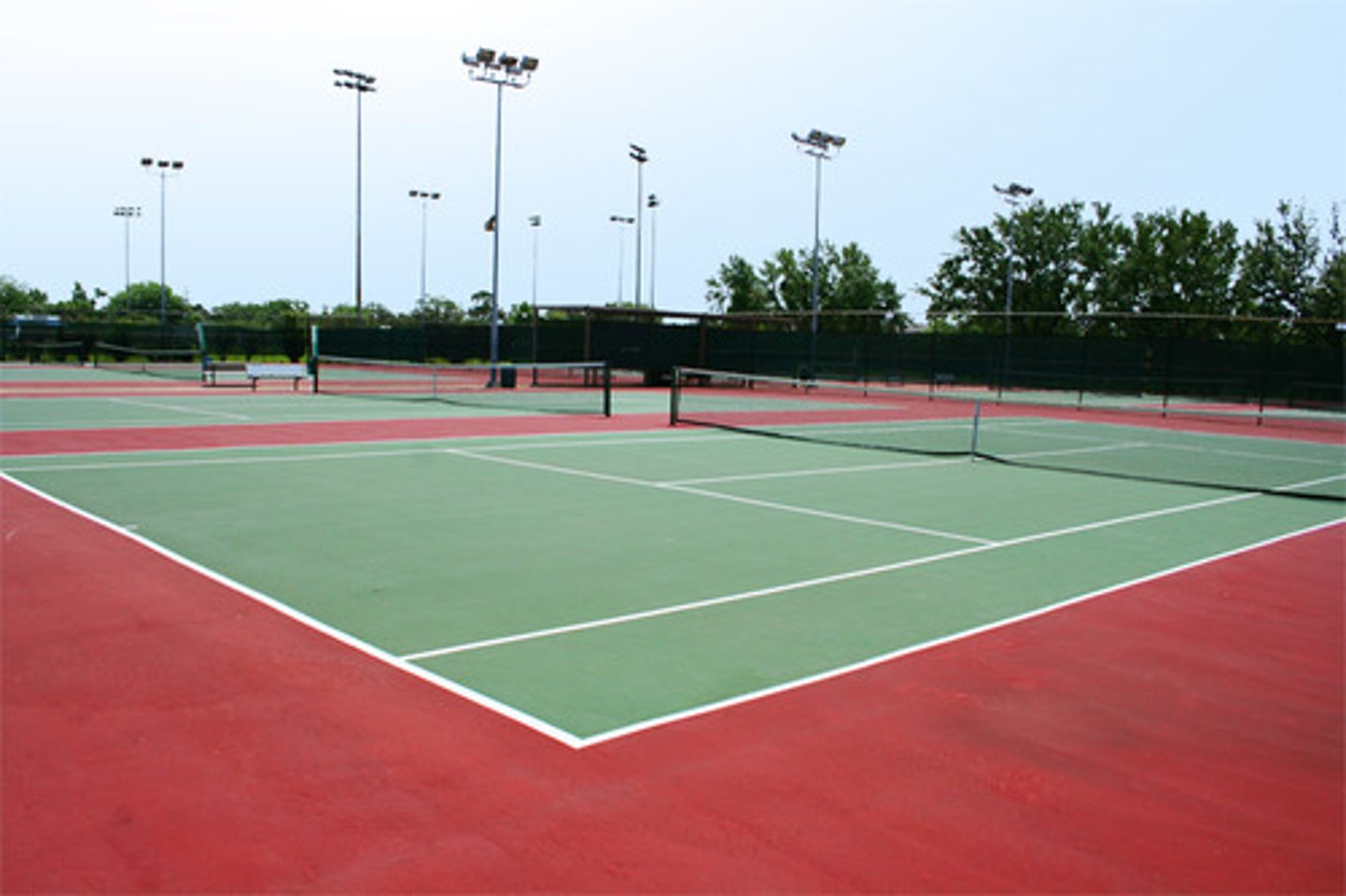 <p>the field(s), court(s)</p>