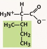 <p>nonpolar</p>