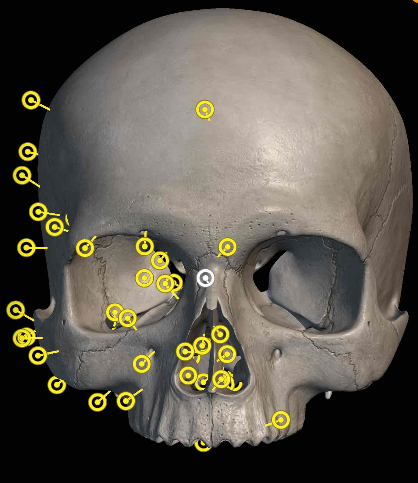 knowt flashcard image
