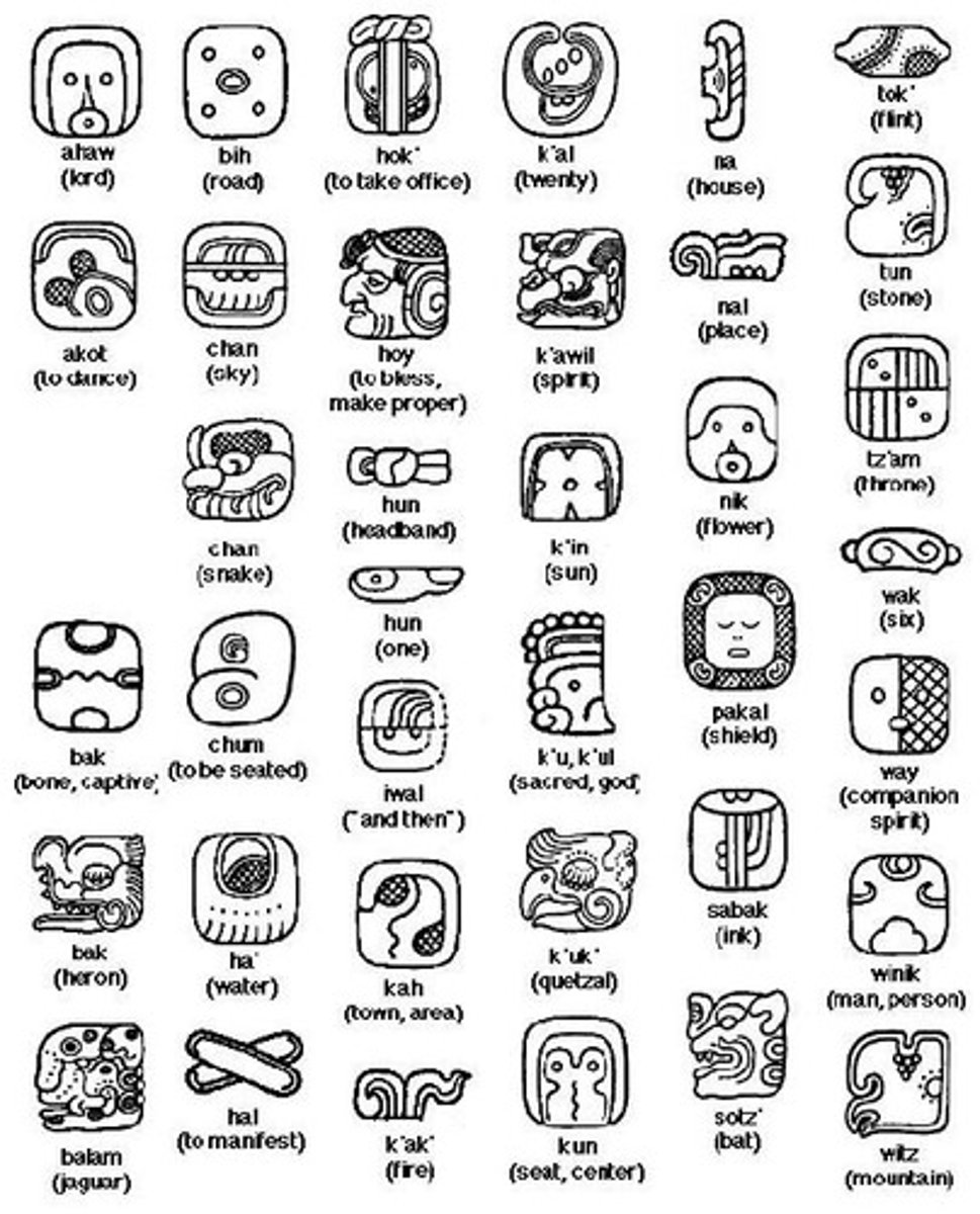 <p>Symbols representing ideas and objects in Mayan writing.</p>