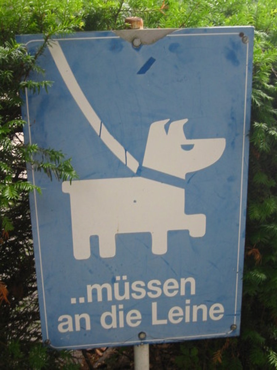 <p>müssen, sollen</p>