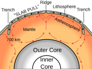 <ol><li><p>Earth’s core releases heat energy, heating up rocks in lower mantle which means they are less dense than the cooler rock above in the mantle</p></li><li><p>Warmer rock rises, whilst cooler rock in upper mantle begins to sink. Movement of rocks means convection currents formed within mantle</p></li><li><p>As mantle heats up from convection currents these currents warm the crust. The heat drives tectonic movement</p></li></ol><p></p><p>OUTDATED though</p><p></p>