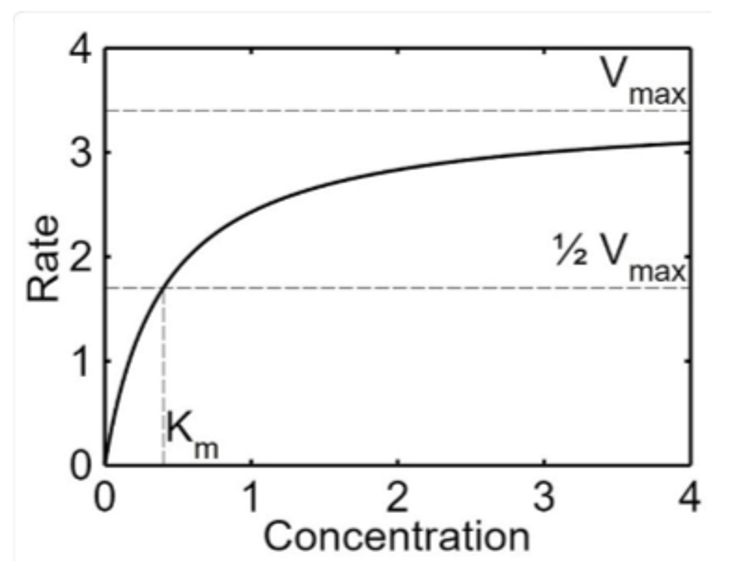 <p>affinity of enzyme for substrate</p>