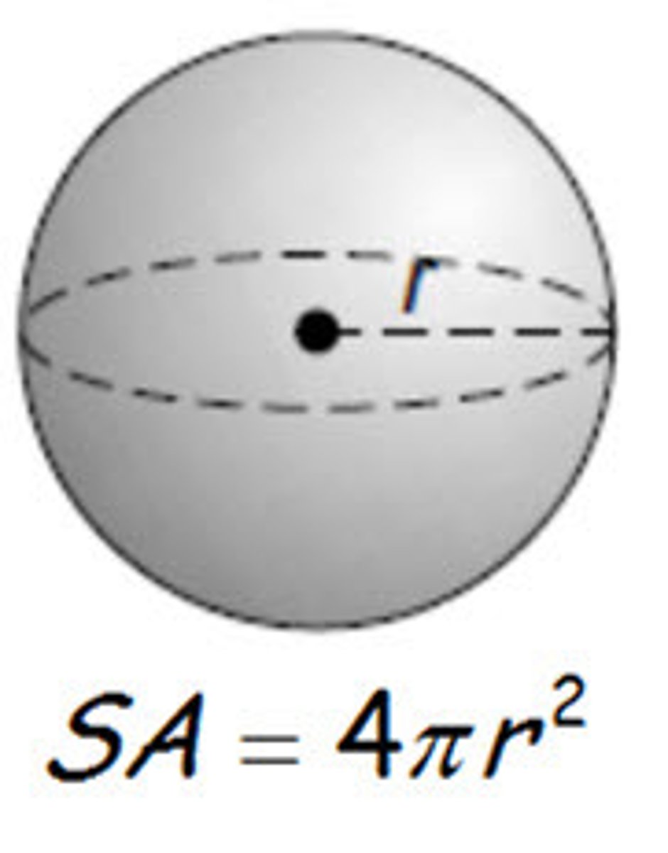 <p>4 times pi times the radius squared.</p>
