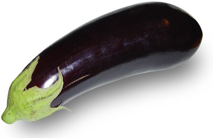 <p>eggplant</p>