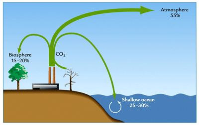 a storage place of an element in a cycle