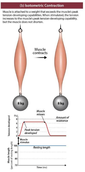 force is less than the load/resistance

build force because force has not been met
