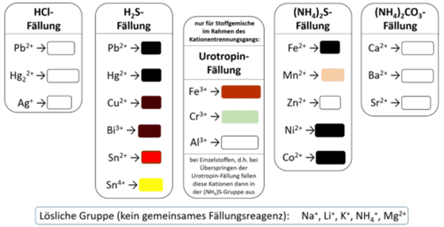 <p>Sn²⁺ NS</p>