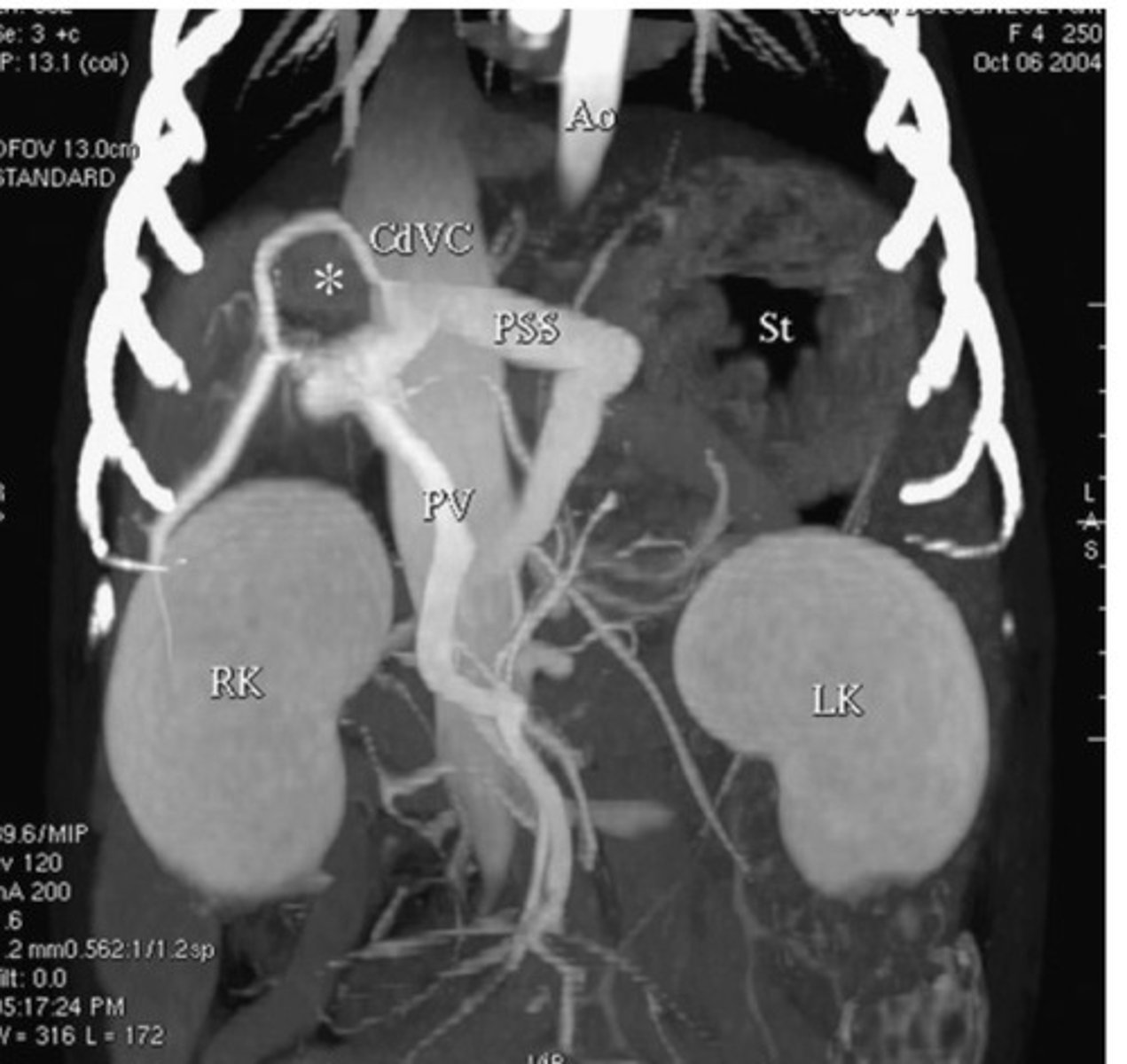 <p>What form of imaging is this?</p>