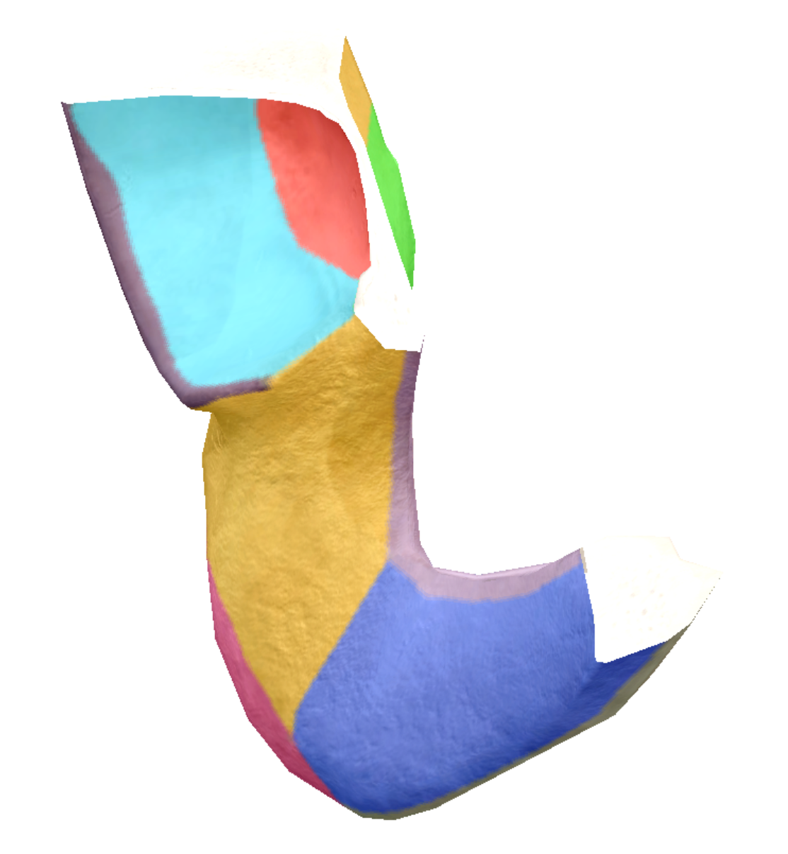 term image