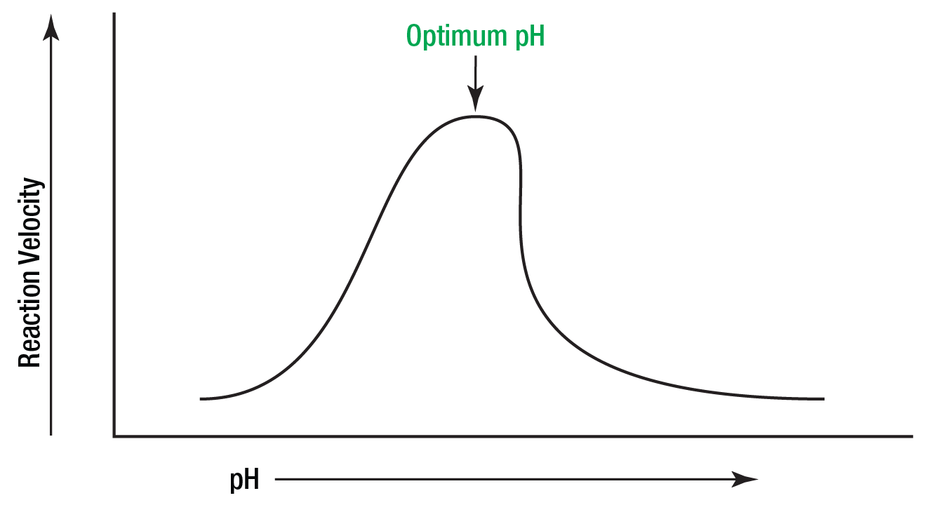 <p>optimal pH</p>