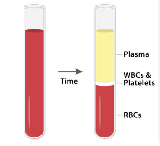 <p><strong>the percentage by volume of red cells in your blood</strong></p>