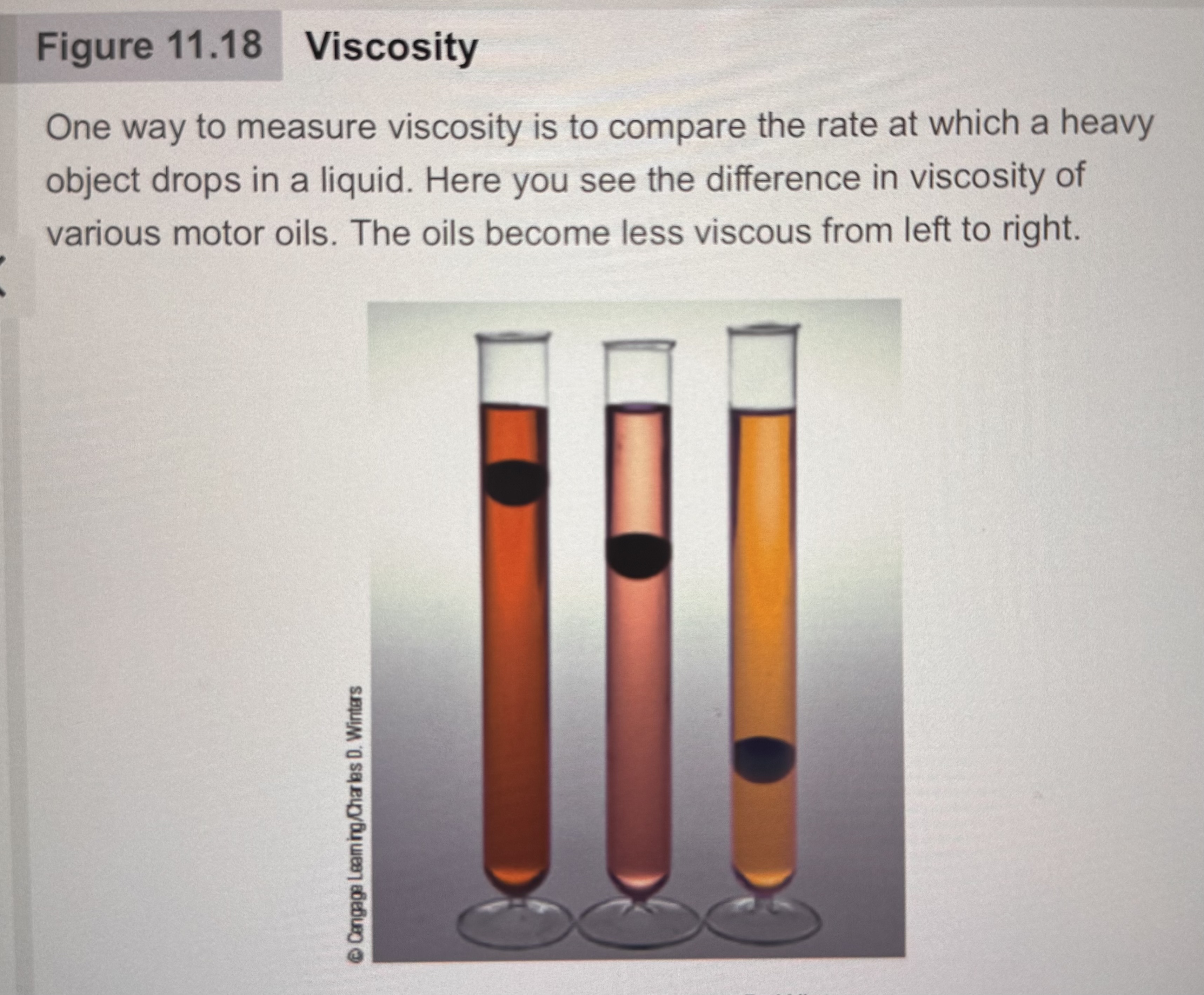 <p>To compare the rate at which a heavy object drops in a liquid.</p>