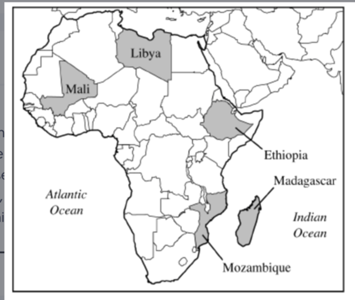<p>neocolonialism.</p>